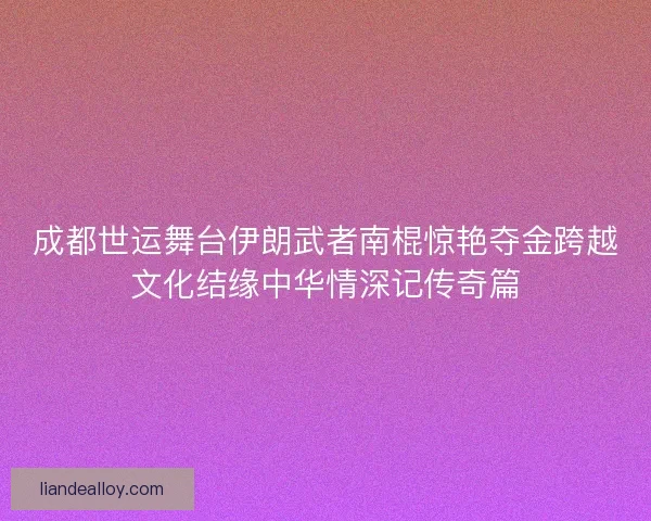 成都世运舞台伊朗武者南棍惊艳夺金跨越文化结缘中华情深记传奇篇