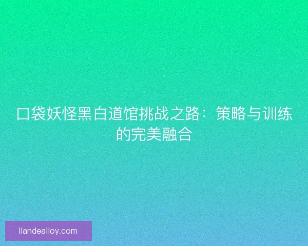 口袋妖怪黑白道馆挑战之路:策略与训练的完美融合 口袋妖怪黑白道馆挑战之路:策略与训练的完美融合