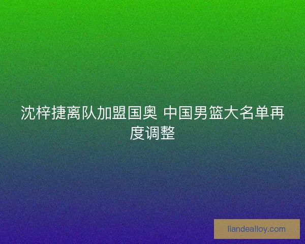 沈梓捷离队加盟国奥 中国男篮大名单再度调整