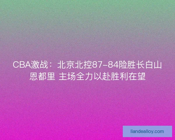 CBA激战:北京北控87-84险胜长白山恩都里 主场全力以赴胜利在望 CBA激战:北京北控87-84险胜长白山恩都里 主场全力以赴胜利在望